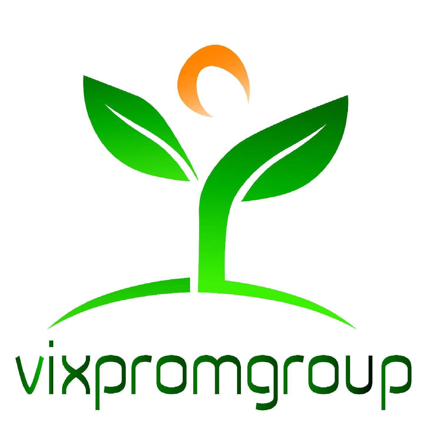 VIKSPROMGRUP OOO