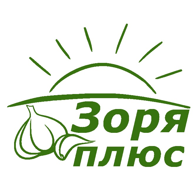 ЗОРЯ ПЛЮС ТД
