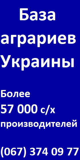 Закупаем подсолнечник